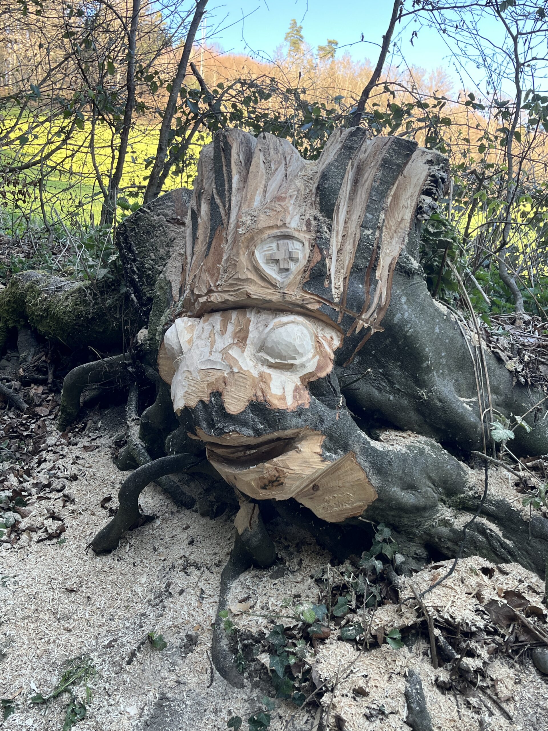 Frosch-König